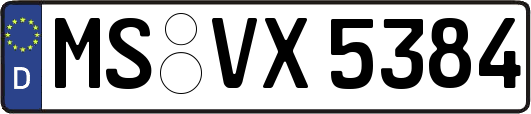 MS-VX5384