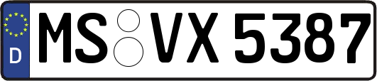 MS-VX5387
