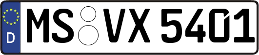 MS-VX5401