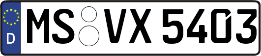 MS-VX5403