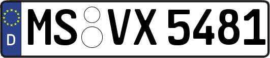 MS-VX5481