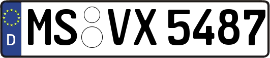 MS-VX5487
