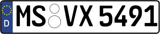 MS-VX5491