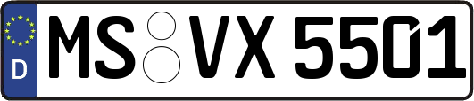 MS-VX5501