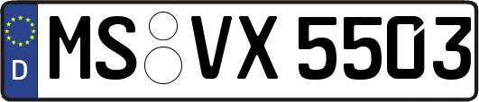 MS-VX5503