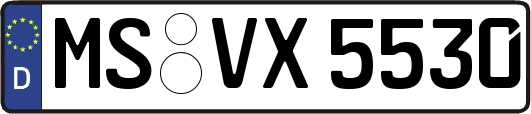 MS-VX5530