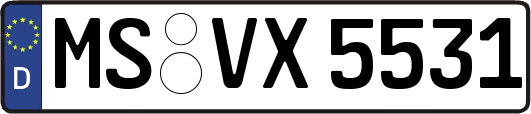 MS-VX5531