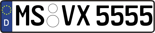 MS-VX5555