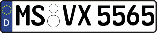 MS-VX5565