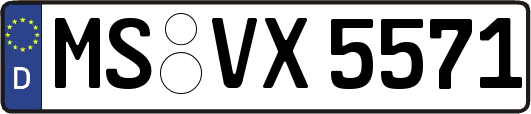 MS-VX5571