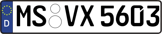 MS-VX5603