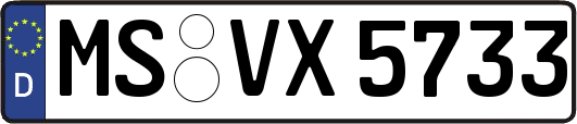 MS-VX5733