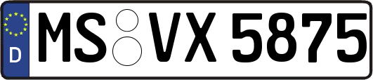 MS-VX5875