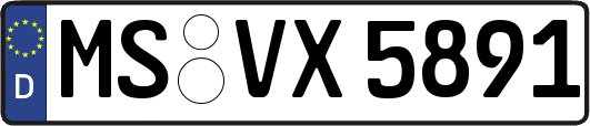MS-VX5891