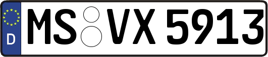 MS-VX5913