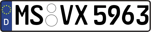 MS-VX5963