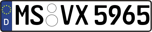 MS-VX5965