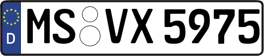MS-VX5975