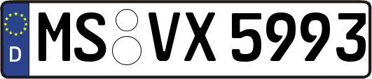 MS-VX5993
