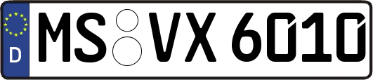 MS-VX6010