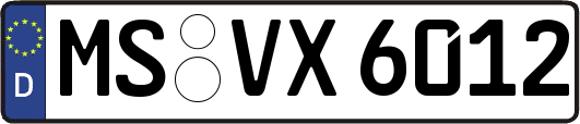 MS-VX6012