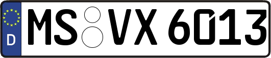 MS-VX6013