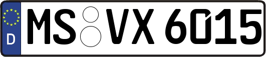 MS-VX6015