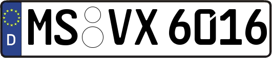 MS-VX6016