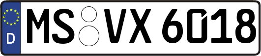MS-VX6018