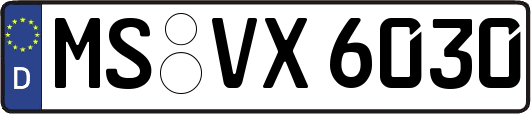 MS-VX6030