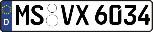 MS-VX6034