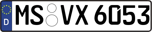 MS-VX6053