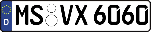 MS-VX6060