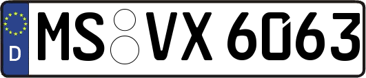MS-VX6063