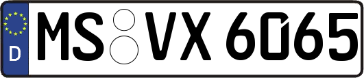MS-VX6065