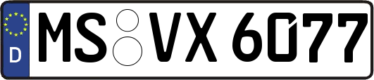 MS-VX6077