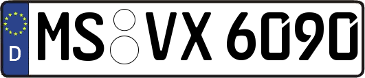 MS-VX6090