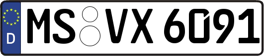 MS-VX6091