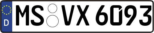 MS-VX6093