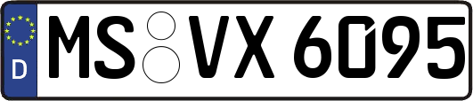 MS-VX6095