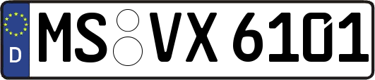 MS-VX6101