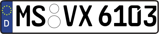 MS-VX6103
