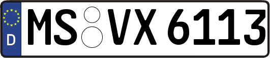 MS-VX6113