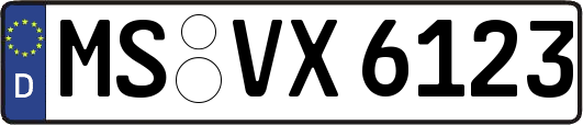 MS-VX6123