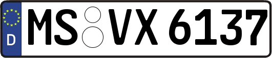 MS-VX6137