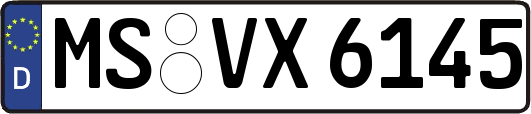 MS-VX6145