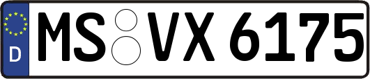 MS-VX6175