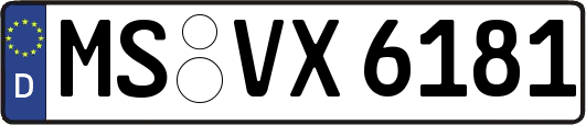 MS-VX6181