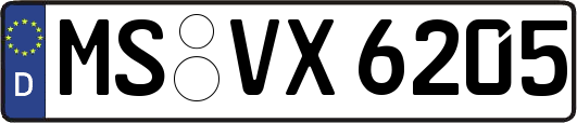 MS-VX6205