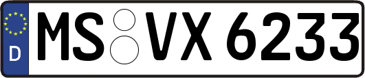MS-VX6233